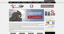 Desktop Screenshot of lesgranitsdubourbonnais.fr